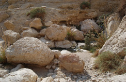 Ein-Gedi (Israel)