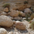 Ein-Gedi (Israel)