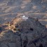 High Priets Aaron’s Tomb (Jordan)