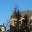 CAT HOUSE (RIGA)