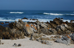 CAPE OF NEEDLES (SOUTH AFRICAN REPUBLIC)