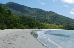 Daintree National Park