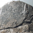 The Tower of Babel is not a Legend after all?