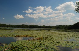 Akatovskoye (Svaditskoye) Lake (Smolensk Oblast)