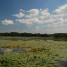 Akatovskoye (Svaditskoye) Lake (Smolensk Oblast)