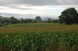 Travelling in Spain: Camino Lugo—Santiago de Compostela. Part Four