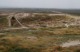 Tel Arad National Park (Israel)