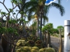 Сад кактусов в Кибуце Маган Михаэль