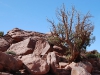 GRAND_CANYON_36.JPG