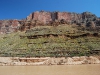 GRAND_CANYON_55.JPG