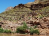 GRAND_CANYON_60.JPG