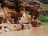 GRAND_CANYON_63.JPG
