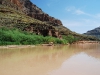 GRAND_CANYON_65.JPG