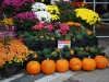TORONTO_36