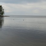 Ladoga Lake 
